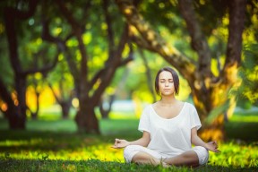 NG体育官网-费德勒的优雅与日本教练的二十连败，当光环成为枷锁